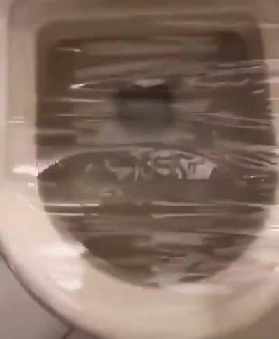 the experiment failed