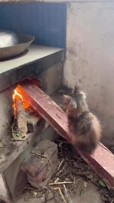 I'm warm now