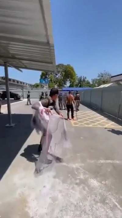 to arrest