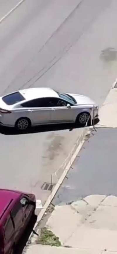 Dude throws rocks at car, instantly regrets it