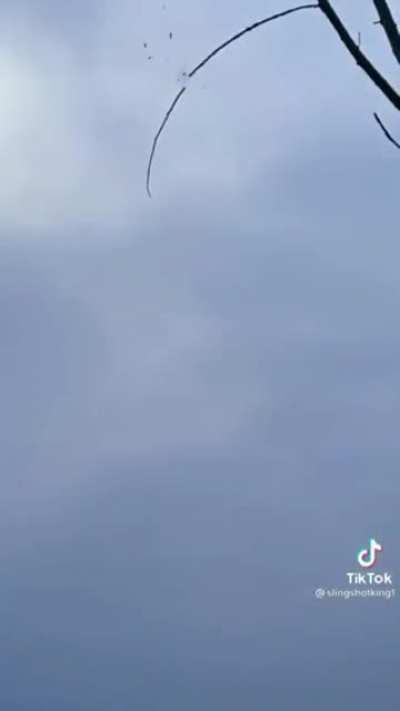 Sling Shot, bullseye