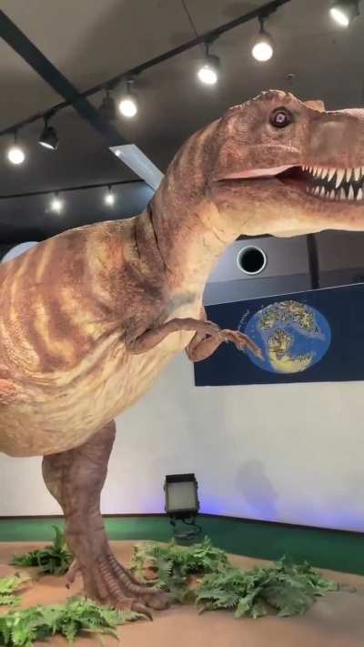 Museum