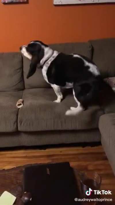 Had a ruff day.