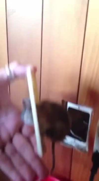 Пробл<wbr>емы с интер<wbr>нетом<wbr>?