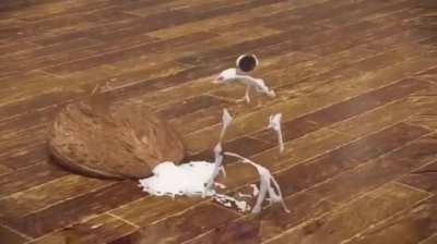Blursed_SoftCoconut