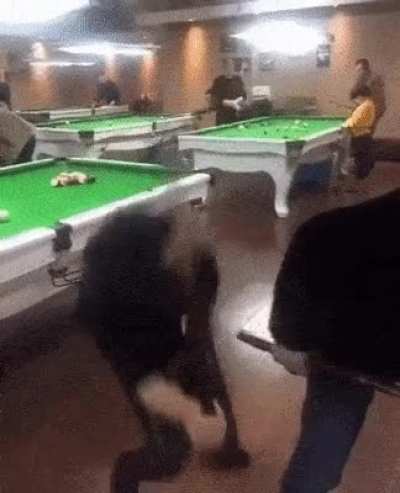 Acerto o buraco sem a bola