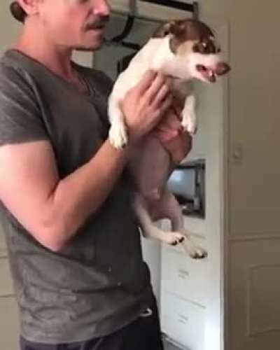 Calm down, Mister Bubz