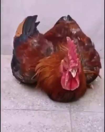 Dis mine, now!