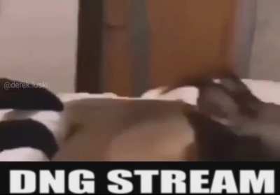 dng stream
