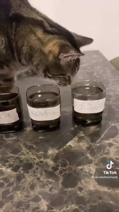Bottled water taster