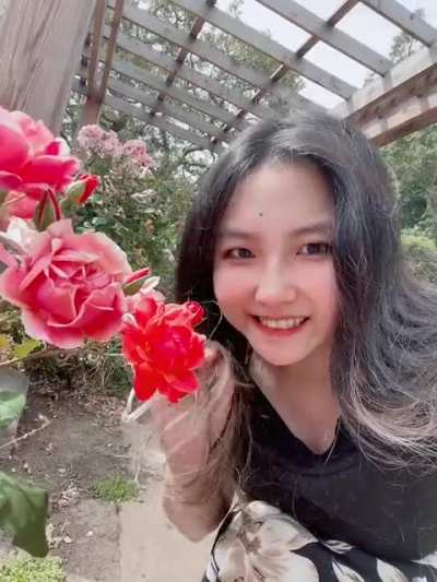 I love roses :D