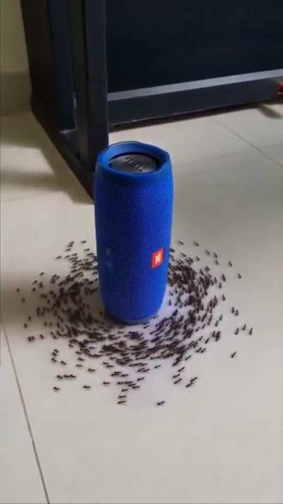 Obelisk of Ants