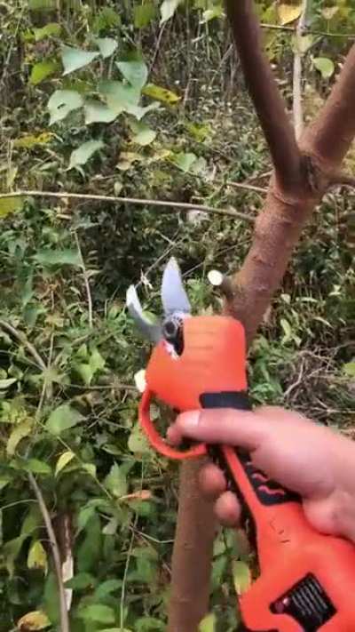 Секатор