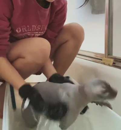 clean baby