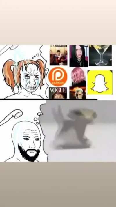 دجاجة