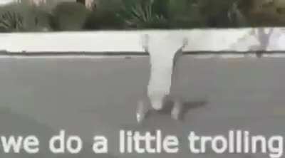 Trolling pequeño