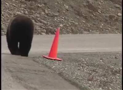 No toyin' with this bear