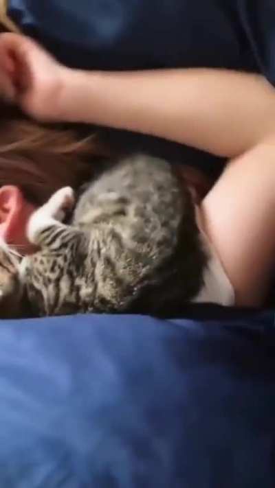 Is it normal for my cat to sleep like this?
