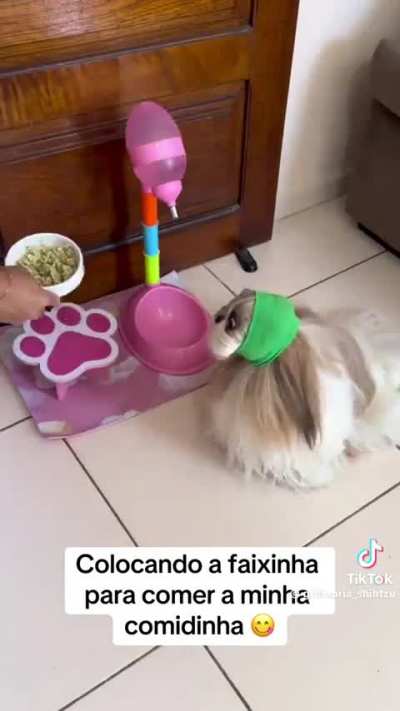 tadinha KKKKKKKK