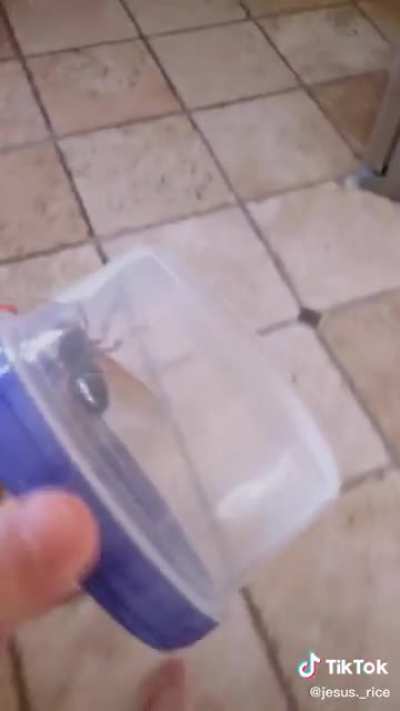 Fuck that