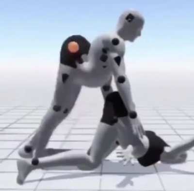 Literal sex machine