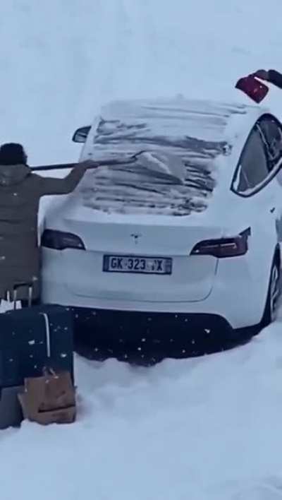 Tesla käufer in a Nutshell 