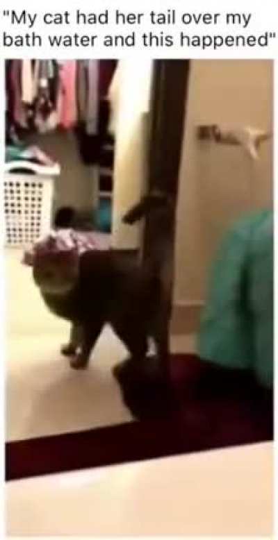 Cat.exe has encountered an error