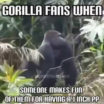 rule