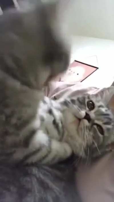 When your SO is in the mood but you still can't remember the name of the song that goes like 