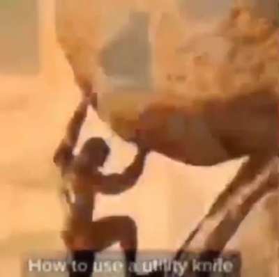 the (f)utility of existence