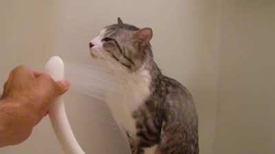 Невоз<wbr>мукот