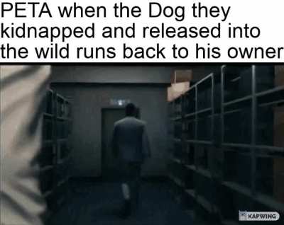 You were free what are you doing