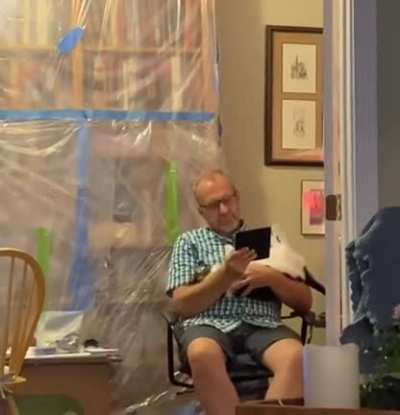 This cat does trust falls.