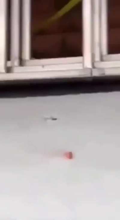 Холод<wbr>ный расчет