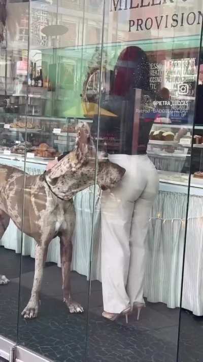 Que perrote...