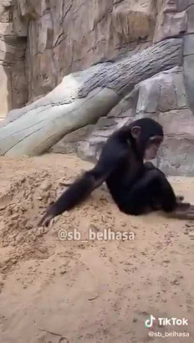 monke flip v2
