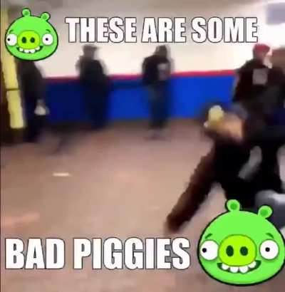 🐷