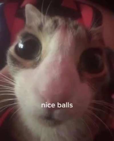 nice balls bro
