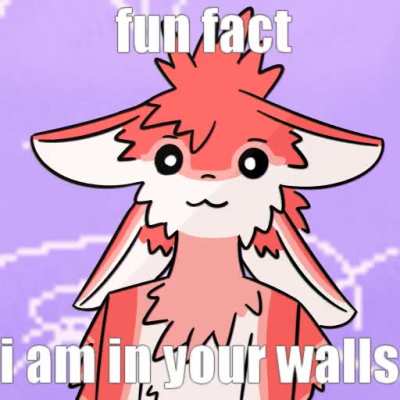 fun fact