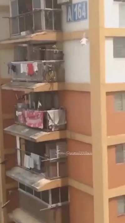 I can’t believe someone would harm a cat like that
