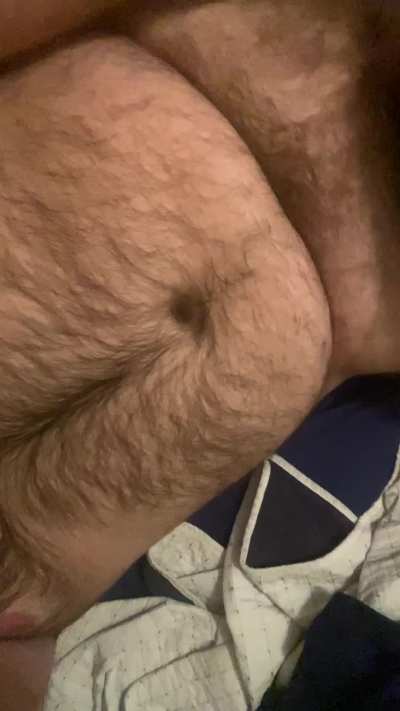 come rub my fur