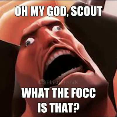 Scout has fallen