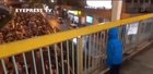 [Stand with Hongkongers] During the 8.18 march, a small boy in blue raincoat kept calling out 