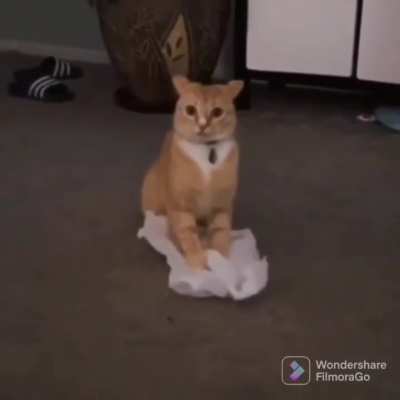 What..?!