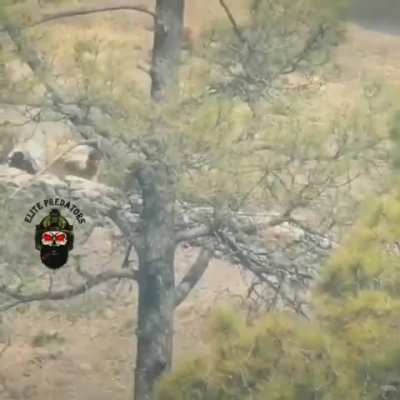 Indian Army Playing with Paki troops, somewhere on the LoC!