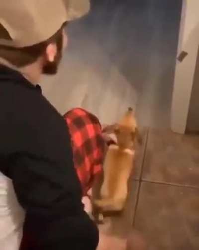 All Wound Up