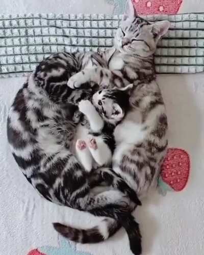 Happy family