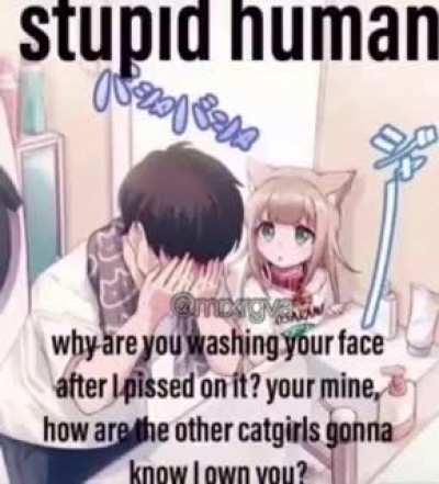 Saw another person who just posted an image here is a dub if this is a repost dm me and I'll take it down