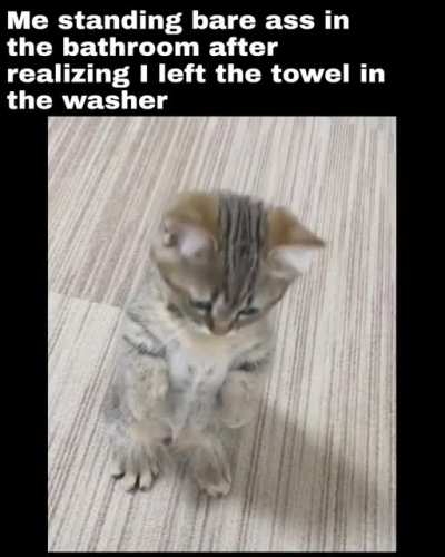 me_irl