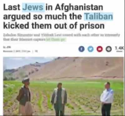 Sorry for potato quality